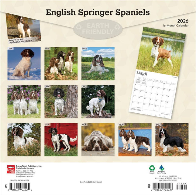 Browntrout Engelse Springer Spaniel Kalender 2026