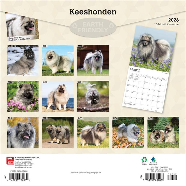 Browntrout Keeshond Kalender 2026