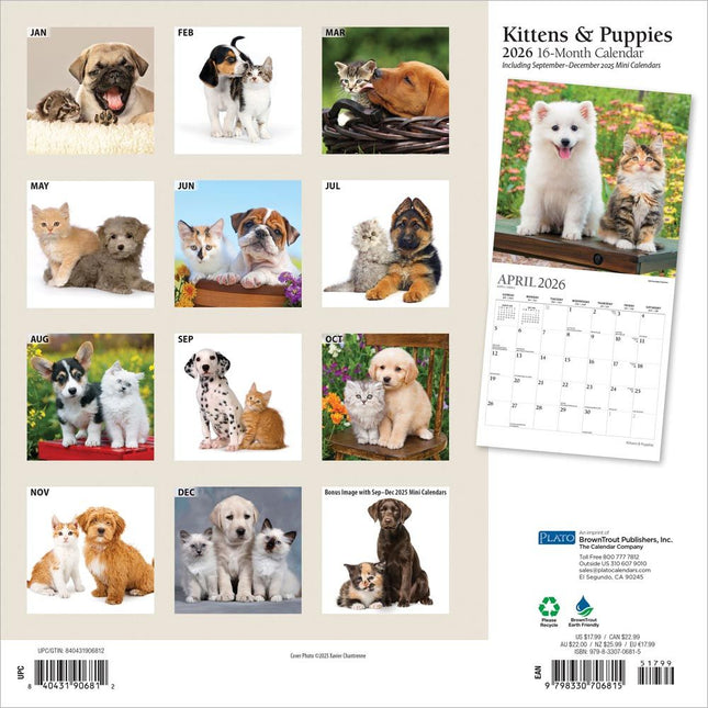 Browntrout Kittens and Puppies Kalender 2026