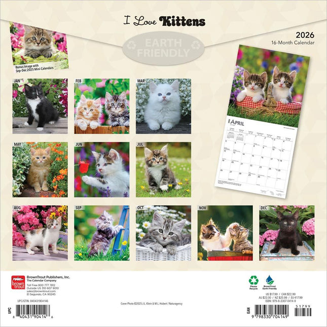 Browntrout Kittens Kalender 2026