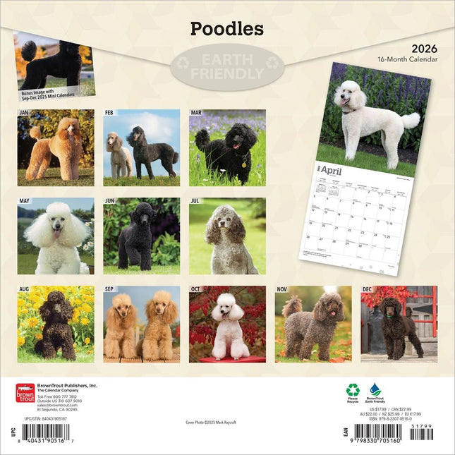 Browntrout Poedel Kalender 2026