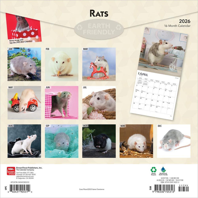Browntrout Ratten Kalender 2026