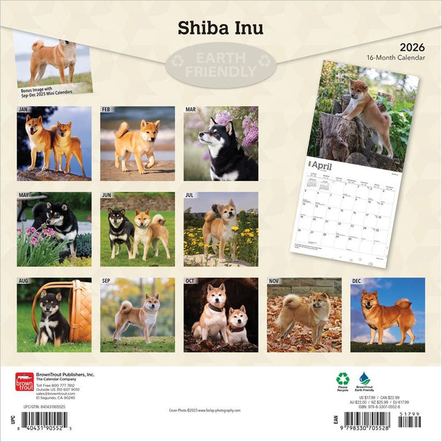 Browntrout Shiba Inu Kalender 2026
