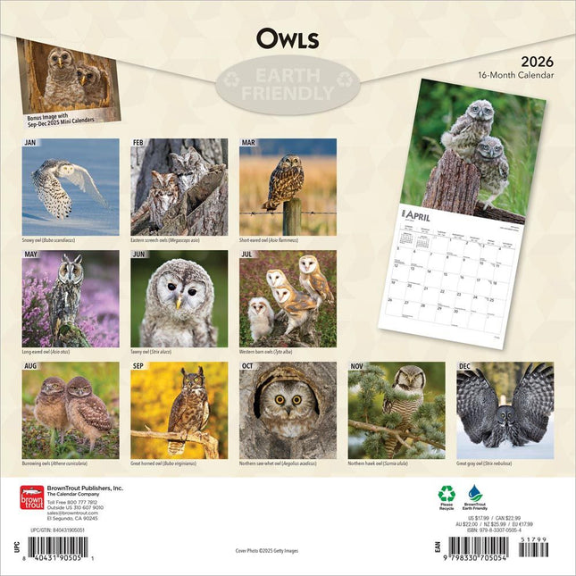 Browntrout Uilen Kalender 2026