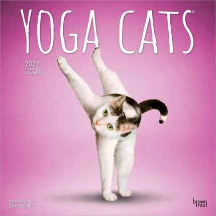 Browntrout Yoga Cats Kalender 2027