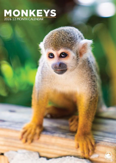 CalendarsRUs Apen A3 Kalender 2026