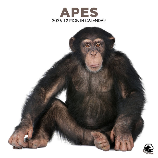 CalendarsRUs Apen Kalender 2026