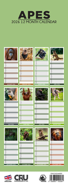 CalendarsRUs Apen Slimline Kalender 2026