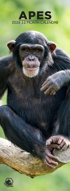 CalendarsRUs Apen Slimline Kalender 2026