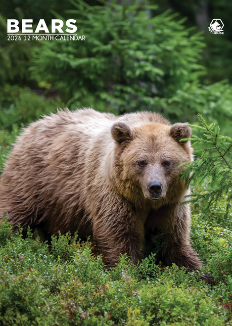 CalendarsRUs Beren A3 Kalender 2026