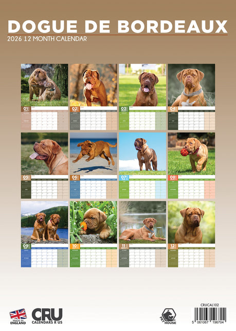 CalendarsRUs Bordeaux Dog A3 Kalender 2026