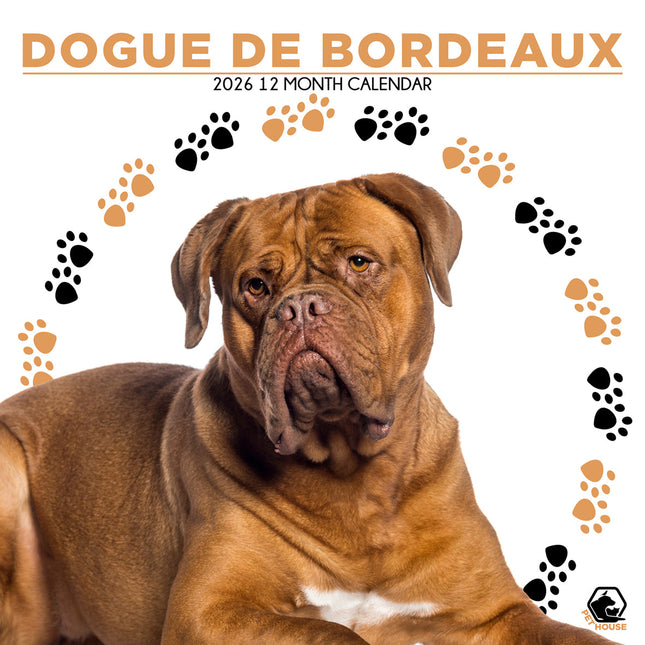 CalendarsRUs Bordeaux Dog Kalender 2026