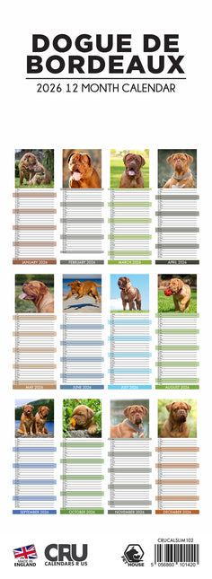 CalendarsRUs Bordeaux Dog Slimline Kalender 2026