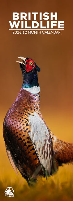 CalendarsRUs British Wildlife Slimline Kalender 2026