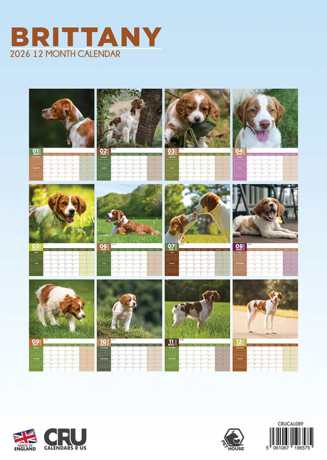 CalendarsRUs Brittany Spaniel A3 Kalender 2026