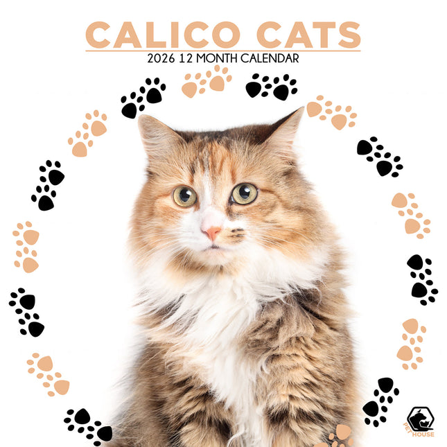 CalendarsRUs Calico Katten Kalender 2026