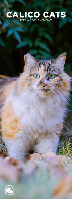 CalendarsRUs Calico Katten Slimline Kalender 2026