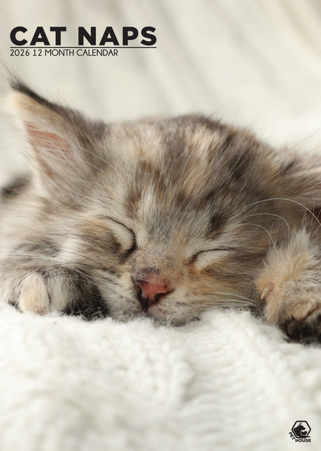 CalendarsRUs Cat Naps A3 Kalendar 2026