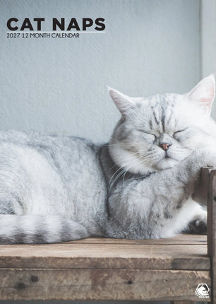 CalendarsRUs Cat Naps A3 Kalendar 2027