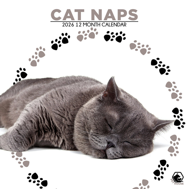 CalendarsRUs Cat Naps Kalendar 2026