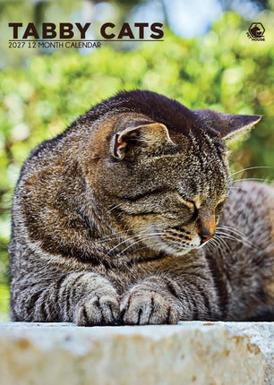 CalendarsRUs Cyperse A3 Katten Kalender 2027