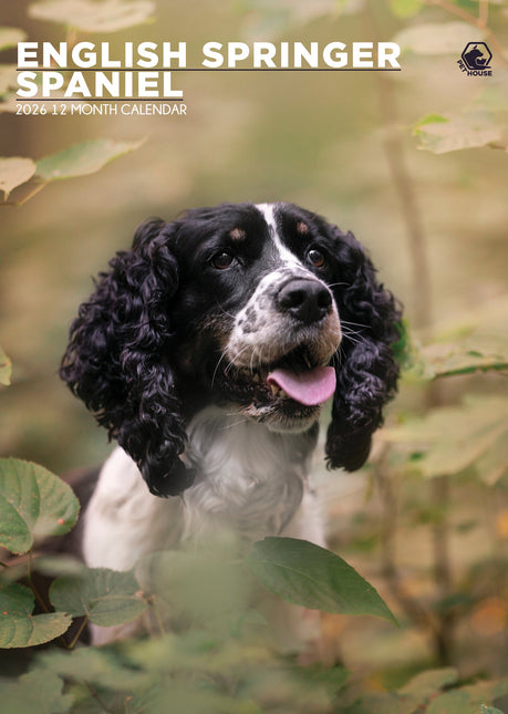 CalendarsRUs Engelse Springer Spaniel A3 Kalender 2026