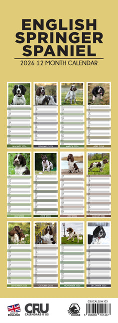 CalendarsRUs Engelse Springer Spaniel Slimline Kalender 2026