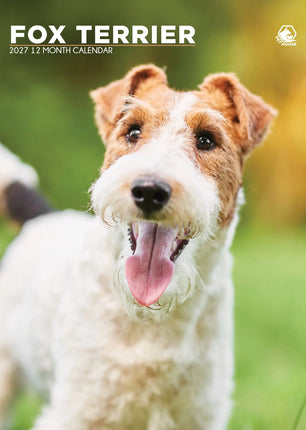 CalendarsRUs Fox Terrier A3 Kalender 2027
