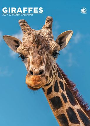 CalendarsRUs Giraffe A3 Kalender 2027