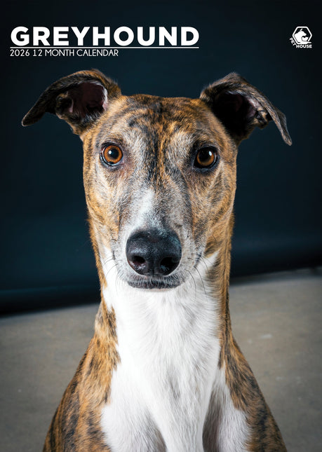 CalendarsRUs Greyhound A3 Kalender 2026