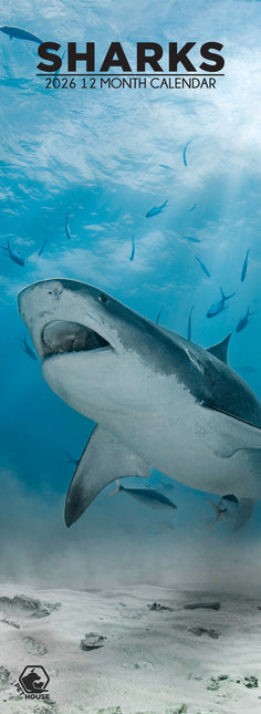 CalendarsRUs Haaien Slimline Kalender 2026