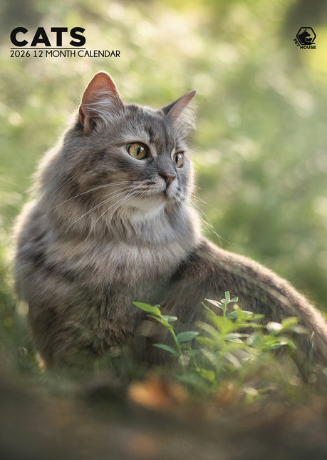 CalendarsRUs Katten A3 Kalender 2026