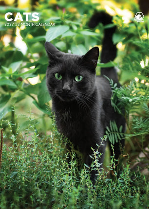 CalendarsRUs Katten A3 Kalender 2027