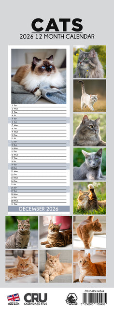 CalendarsRUs Katten Slimline Kalender 2026