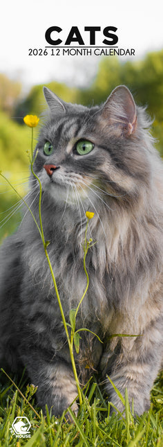 CalendarsRUs Katten Slimline Kalender 2026