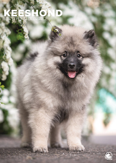 CalendarsRUs Keeshond A3 Kalender 2026