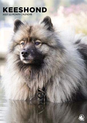 CalendarsRUs Keeshond A3 Kalender 2027