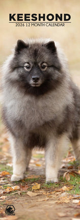 CalendarsRUs Keeshond Slimline Kalender 2026