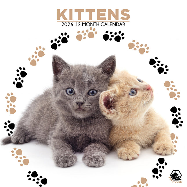 CalendarsRUs Kittens Kalender 2026