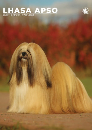 CalendarsRUs Lhasa Apso A3 Kalender 2027