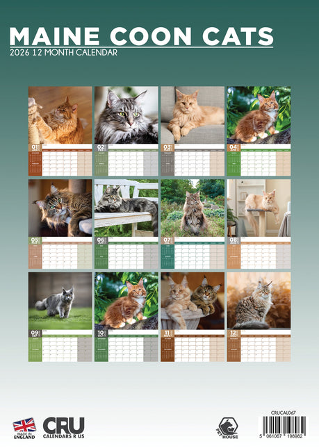 CalendarsRUs Maine Coon A3 Kalender 2026