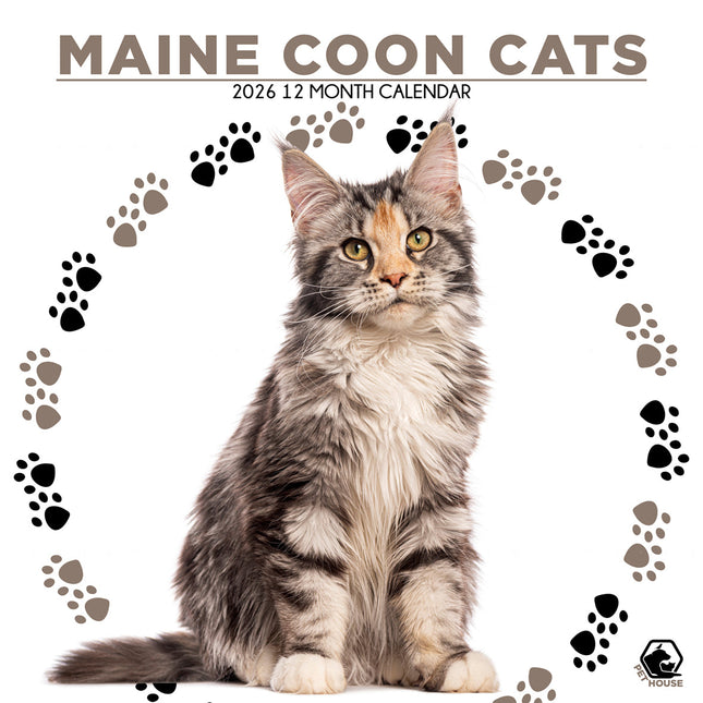 CalendarsRUs Maine Coon Kalender 2026
