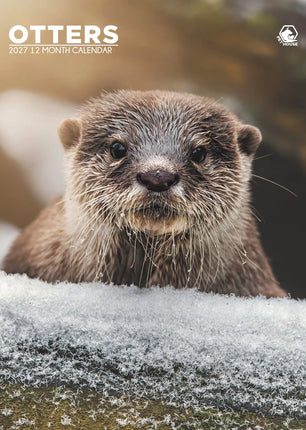 CalendarsRUs Otter A3 Kalender 2027