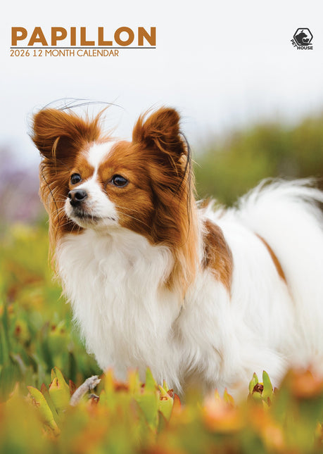 CalendarsRUs Papillon A3 Kalender 2026