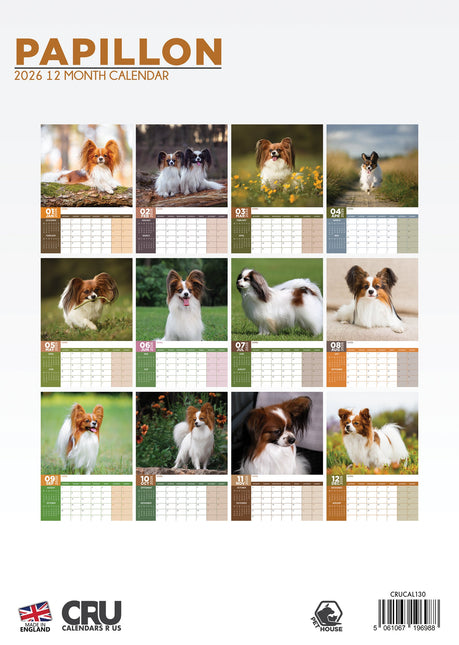 CalendarsRUs Papillon A3 Kalender 2026