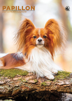 CalendarsRUs Papillon A3 Kalender 2027
