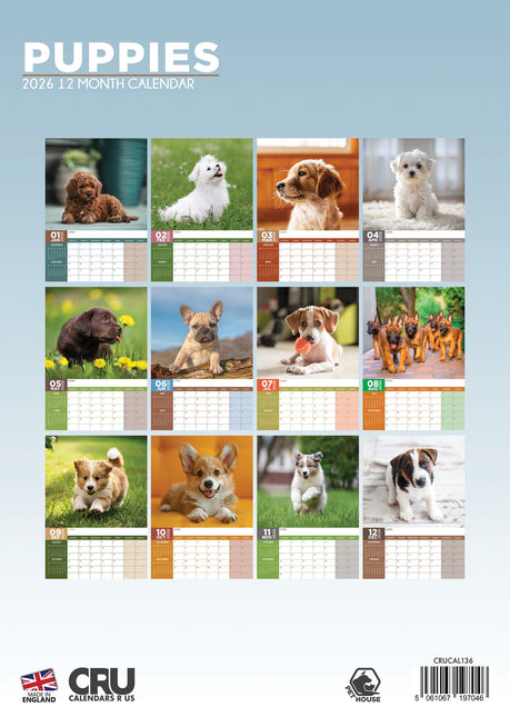 CalendarsRUs Puppies A3 Kalender 2026