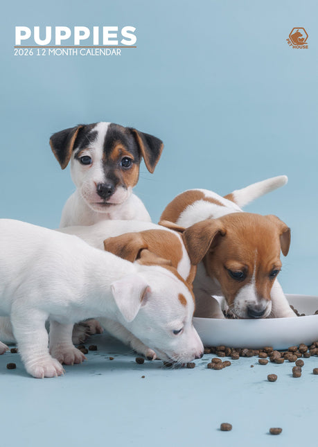 CalendarsRUs Puppies A3 Kalender 2026