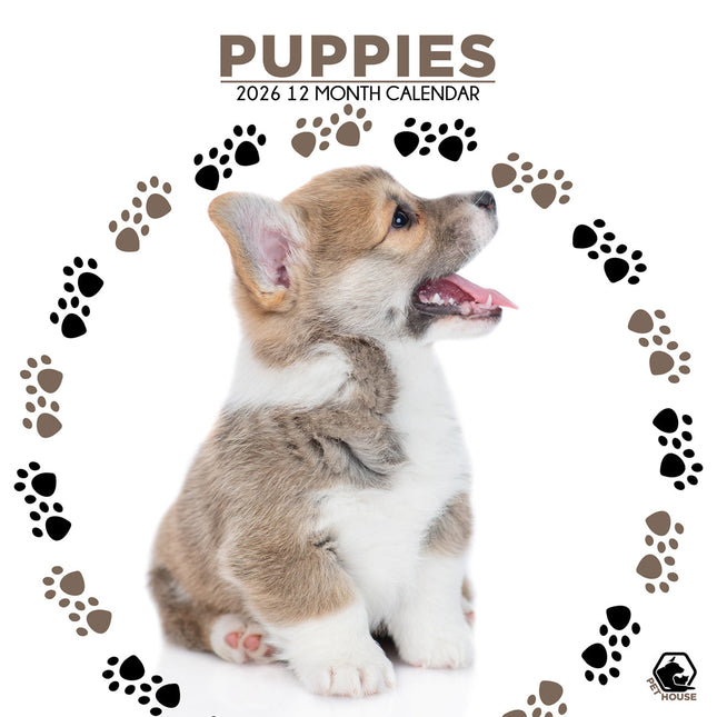 CalendarsRUs Puppies Kalender 2026