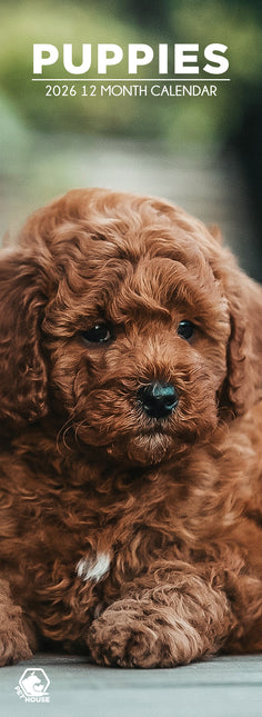 CalendarsRUs Puppies Slimline Kalender 2026